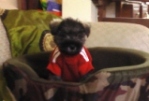 Avatar de Usuario