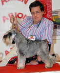 Avatar de Usuario